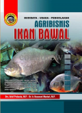 Agribisnis Ikan Bawal