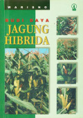 Budidaya jagung hibrida