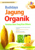 Budidaya jagung organik: varietas baru yang kian diburu