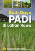 Budidaya padi di lahan rawa