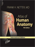 Atlas of Human Anatomy , 4e