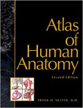 Atlas of Human Anatomy: 2e