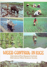 Weed control in rice