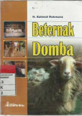 Beternak domba.
