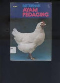 Beternak ayam pedaging.
