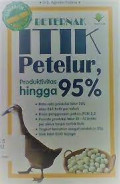 Beternak itik petelur produktivitas hingga 95%