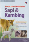 Sukses usaha pembibitan sapi & kambing