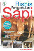 Bisnis penggemukan sapi.