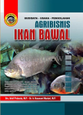 Agribisnis Ikan Bawal