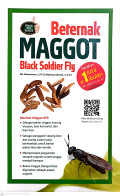 Beternak maggot black soldier fly