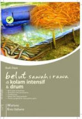 Budidaya belut sawah & rawa di kolam intensif & drum