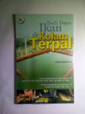 Budidaya ikan di kolam terpal