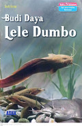 Budidaya lele dumbo