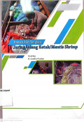 Inovasi alat tangkap jaring udang ketak/Mantis Shrimp
