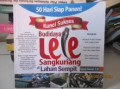 Kunci sukses budidaya lele sangkuriang di lahan sempit