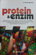 Protein & enzim