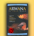 Arwana si ikan naga