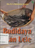 Budidaya ikan lele