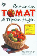 Bertanam tomat di musim hujan