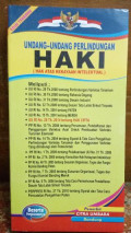 Undang-Undang Perlindungan HAKI (Hak Atas kekayaan Intelektual)