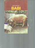 Beternak Babi