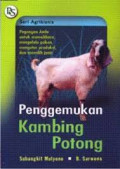 Pemertahanan bahasa cina di jakarta