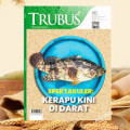 Laba Ciamik Pangan Organik
