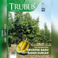 Tradisi merawat Rumah Nyi Pohaci