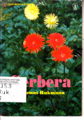 Gerbera ( seri bunga potong)