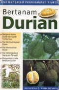 Bertanam durian