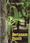 Bertanam panili