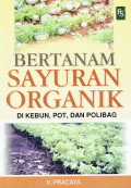 Bertanam sayuran organik di kebun, pot dan polibag