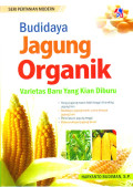 Budidaya jagung organik: varietas baru yang kian diburu