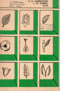 How to identify plants