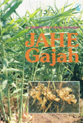 Jahe Gajah