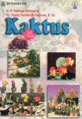Kaktus