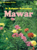 Mawar