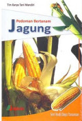 Pedoman bertanam jagung