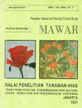 Perbaikan varietas dan teknologi produksi bunga mawar