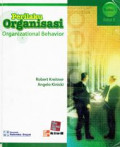 Perilaku organisasi organizational behavior