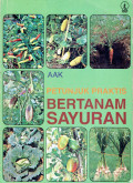 Petunjuk praktis bertanam sayuran