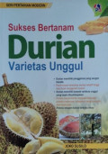 Sukses bertanam durian varietas unggul