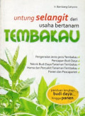 Untung selangit dari usaha bertanam tembakau
