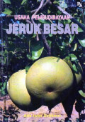Usaha pembudidayaan jeruk besar