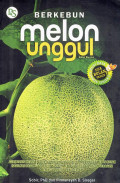 Berkebun melon unggul
