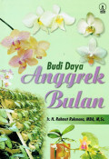 Budidaya Anggrek Bulan