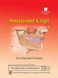 Anatomi Gigi, 2e