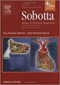 Sobotta Atlas of Human Anatomy: One Volume Edition Latin nomenclature. 14th ed